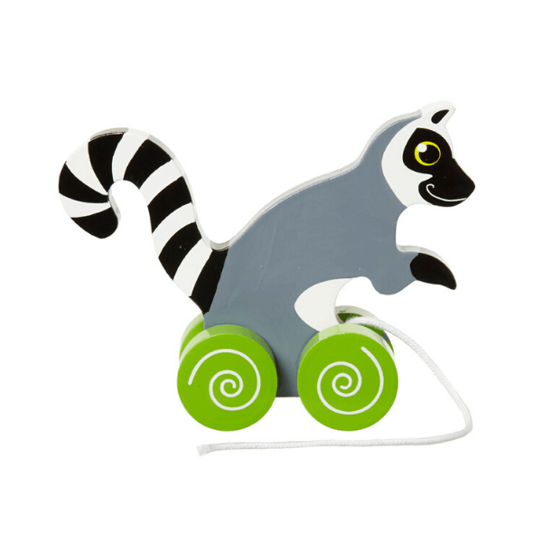 Žival na kolesih lemur