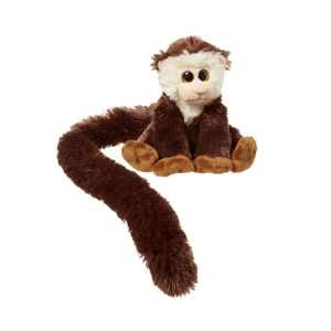 Opica z dolgim repom kapucinka