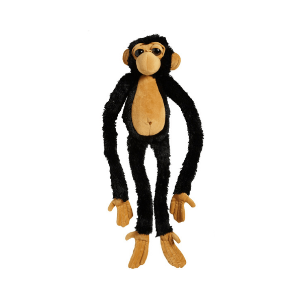 Viseča opica šimpanz