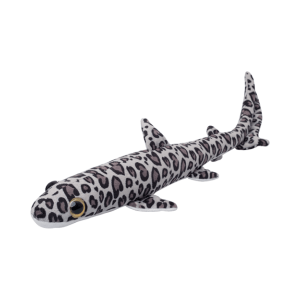 Morski pes S leopardji