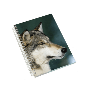 Zvezek s 3D sliko volk