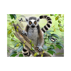 3D sestavljanka lemur
