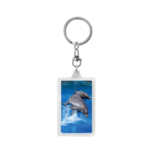 Obesek za ključe 3D delfin