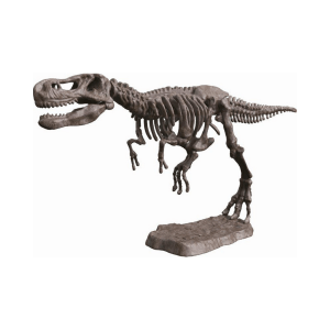 Set za izkopavanje fosilov – T-Rex