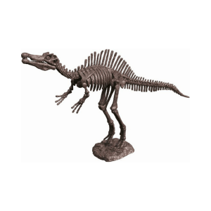 Set za izkopavanje fosilov – spinozaver