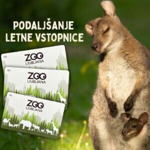 Podaljšanje letne vstopnice