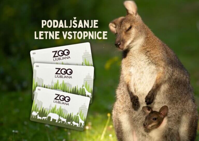 Podaljšanje letne vstopnice
