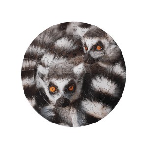 Sestavljanka lemur